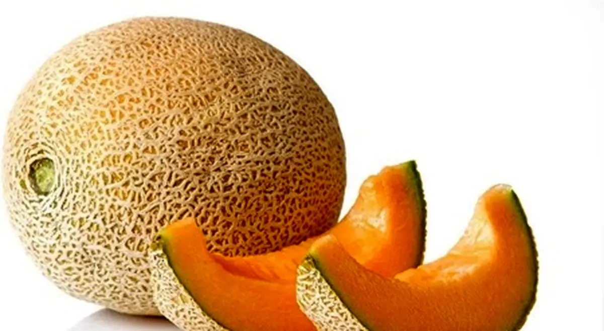   آیا ملون میوه‌ای تراریخته و مضر برای سلامتی است؟ 
