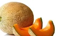 آیا ملون میوه‌ای تراریخته و مضر برای سلامتی است؟