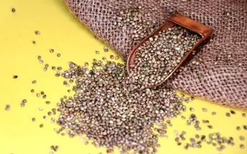 طرز مصرف شاهدانه برای کاهش وزن