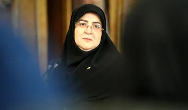 مهاجرانی: حضور نیروهای خارجی در قفقاز پیامدهای منفی دارد