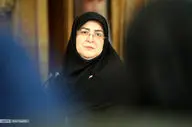 مهاجرانی: حضور نیروهای خارجی در قفقاز پیامدهای منفی دارد