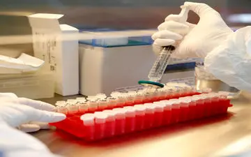 ابراز امیدواری WHO برای آماده شدن واکسن کرونا تا خاتمه 2020