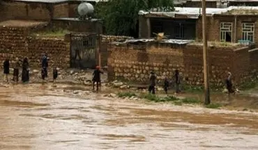 فرماندار شوش:
دو روستای شوش در معرض سیل هستند