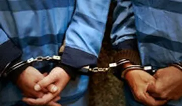 دستگیری ۲۰ نفر اراذل و اوباش در مهمانی شبانه 