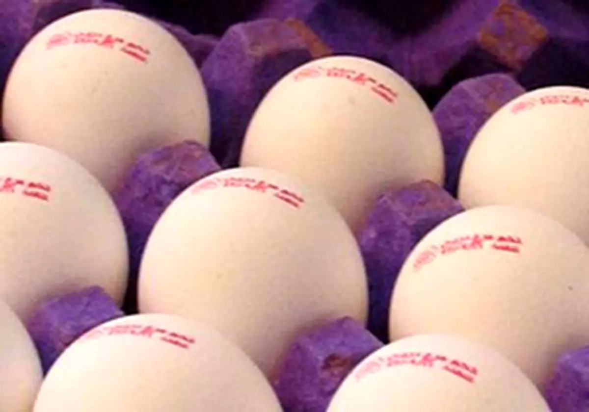 قیمت تخم‌مرغ بسته‌بندی اعلام شد
