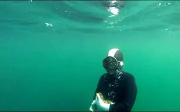 صیادی سنتی پیرزن ژاپنی از اقیانوس آرام + فیلم 