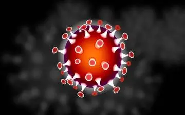 فاجعه کرونایی در پایتخت