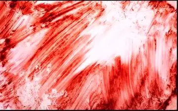  پسر جوان پدرش را کشت و مادرش را با چاقو زخمی کرد 