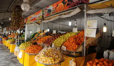 راه اندازی ۵۰ بازار میوه و تره بار در شهر تهران