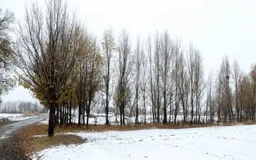 برف و باران ۲ روزه در برخی مناطق/تهران چهارشنبه بارانی می‌شود