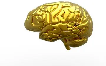 مه مغزی چیست؟