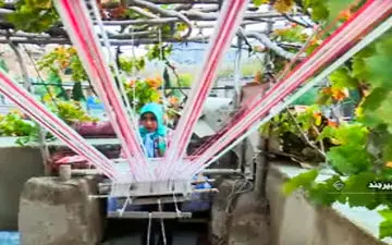 روستایی کوچک در خراسان جنوبی در آستانه جهانی شدن + فیلم 