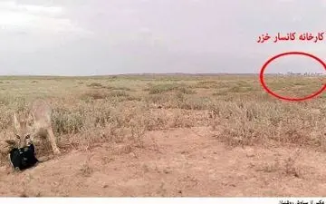 گرگان / پرتوزایی رسوبات کارخانه ید کانسار خزر خطرناک نیست