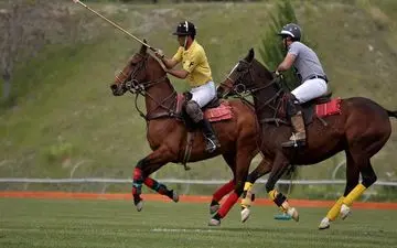 امیدوارم با تغییرات در فدراسیون، رشته چوگان روند صعودی داشته باشد 