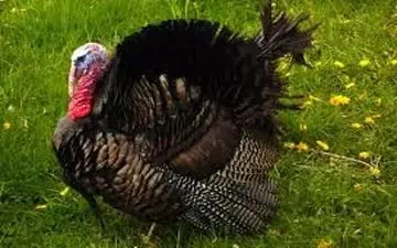 با شغلی خوب با درآمدی بسیار عالی آشنا شوید