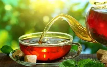 چای، جایگزینی برای فیلتر آب؟ | تصفیه طبیعی آب با دم کردن چای

