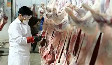  دامپزشکی بر گوشت وارداتی از کشور گرجستان نظارت کامل دارد