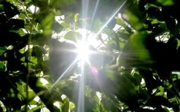 روند افزایش دما در بیشتر مناطق کشور