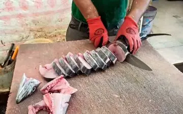 راز فیله کردن ماهی شیر مثل جنوبی‌ها (آموزش تصویری)