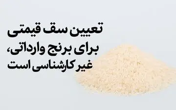 تعیین سقف قیمتی برای برنج وارداتی، غیر کارشناسی است