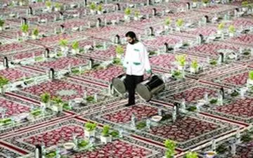 پاکبانان یزدی میهمان سفره خادمیاران رضوی