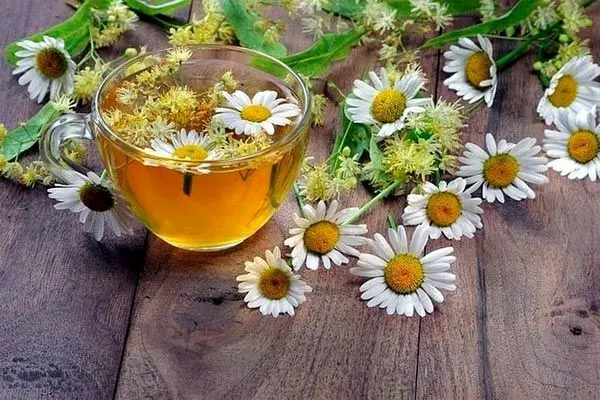 استفاده از بابونه برای رفع موهای زائد