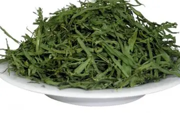 آشنایی با فواید و مضرات ترخون