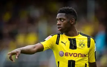 قیمت عثمان دمبله چقدر است؟