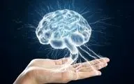 آشنایی با رازهای سر به مهر مانده «مغز» انسان