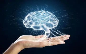 آشنایی با رازهای سر به مهر مانده «مغز» انسان