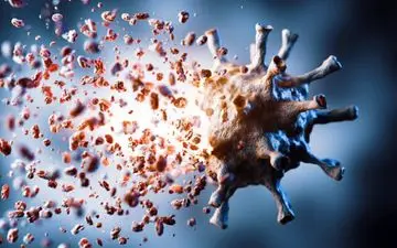 نقطه ضعف ویروس کرونا را بشناسید