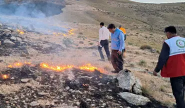 تلاش بی‌وقفه جواب داد؛ آتش در ۳۰ هکتار از مراتع کنگاور مهار شد