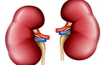  از دلایل تا پیشگیری بی‌اختیاری ادرار