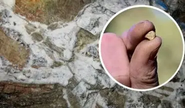  کشف روشی نوین برای شناسایی طلاهای مدفون در اعماق زمین