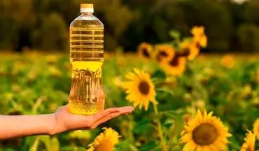 آغاز توزیع روغن آفتابگردان دولتی مهر ۱۴۰۴ | محل عرضه روغن تنظیم بازاری