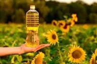 آغاز توزیع روغن آفتابگردان دولتی مهر ۱۴۰۴ | محل عرضه روغن تنظیم بازاری