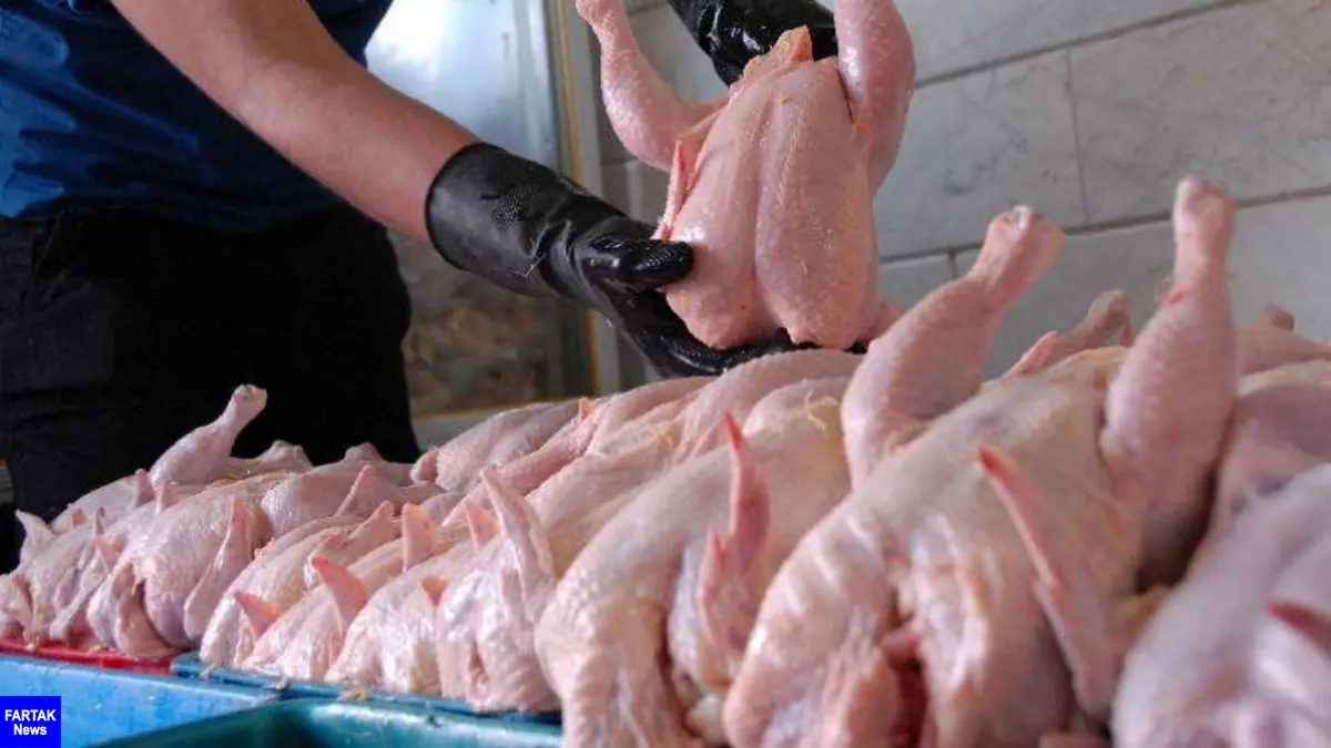 قیمت مرغ تا پایان ماه رمضان بدون تغییر می ماند