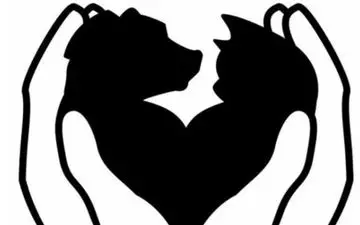 تست شخصیت؛ بگو در تصویر چه دیدی تا بگم چقدر آدم خوش شانسی هستی!
