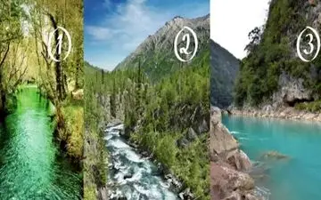 تست شخصیت شناسی: کنجکاو یا بی تفاوت؟ 