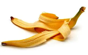 جلوگیری از تشکیل سنگ‌های کلیوی با عصاره پوست موز 