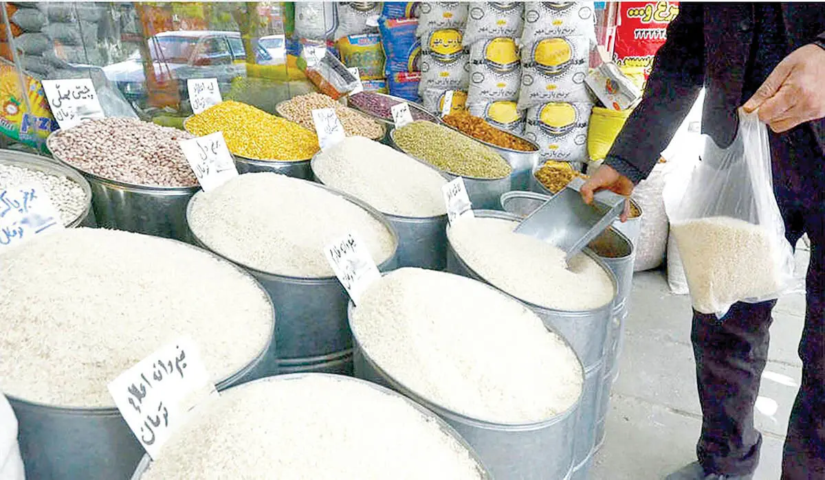 کاهش قیمت انواع برنج ایرانی ؛ برنج ایرانی جایگزین برنج خارجی می شود؟ | جدیدترین قیمت انواع برنج ایرانی را ببینید