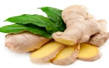 این غذاها نفخ تان را از بین می برد