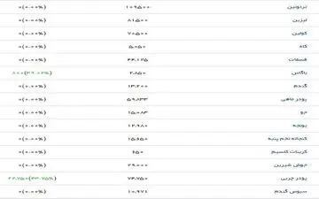 قیمت انواع گوشت و مرغ منجمد در بازار + عکس