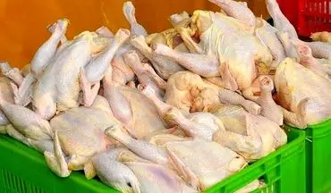 عرضه گوشت مرغ دولتی در کنار بازار آزاد چند نرخی!