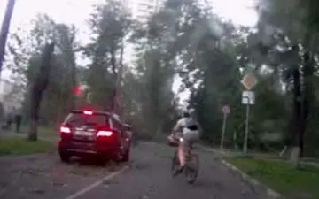 سقوط درختان بر روی خودروها به خاطر طوفان شدید + فیلم