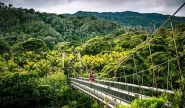 ۸ مسیر ویژه طبیعت گردی در نیوزیلند
