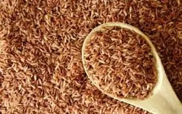 ۷ غذایی که کرختی پس از ناهار را از بین می‌برند