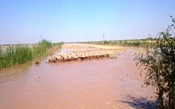 سیل‌بندهای دشت آزادگان همچنان آسیب‌پذیر هستند