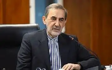 ولایتی: ایثار به عنوان یک فرهنگ متعالی در زمره عالی ترین مفاهیم الهی است
