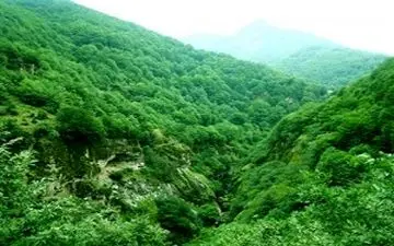 رویایی‌ترین صحنه از طبیعت